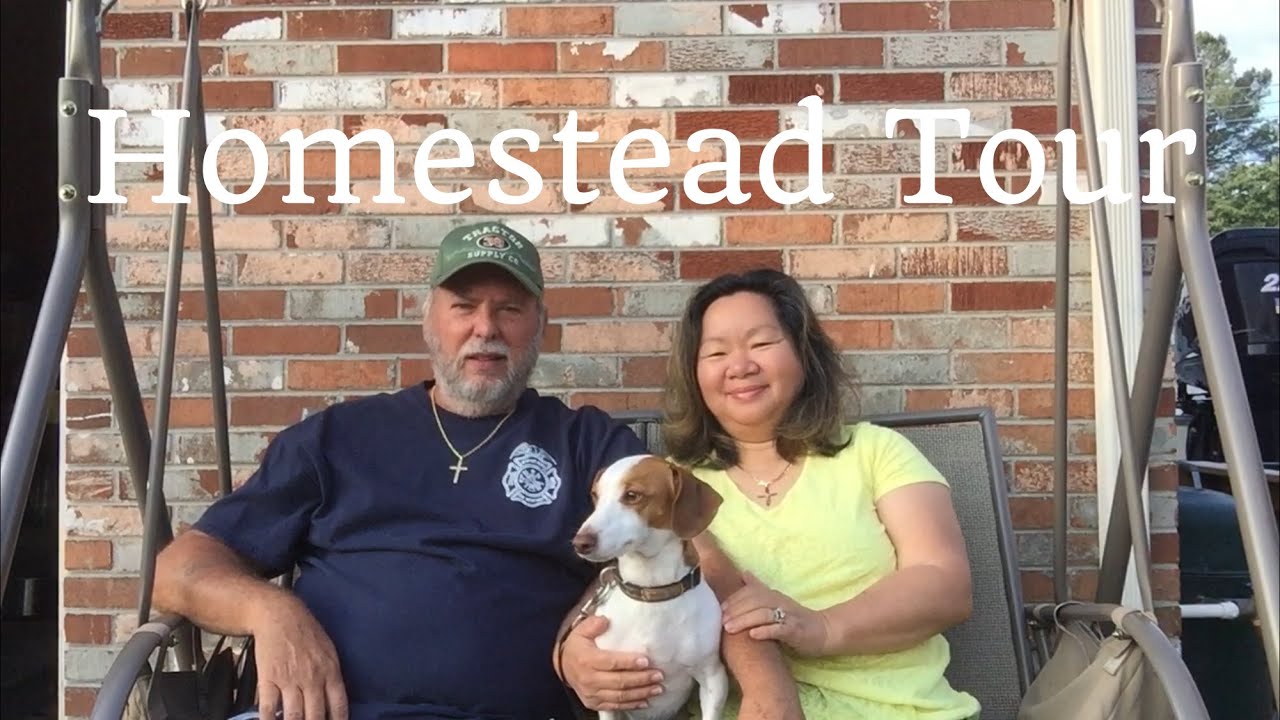 Tour of our Urban Homestead