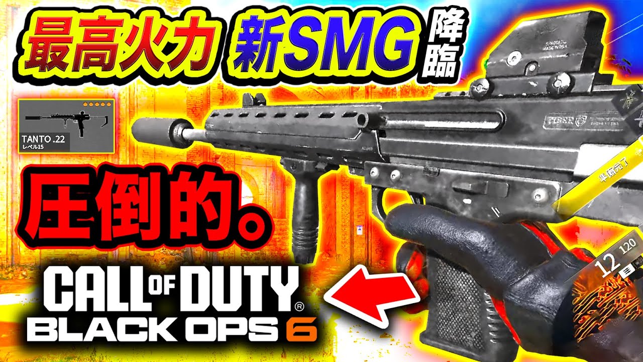 【新作CoD:BO6】新武器SMG到来！最高火力＆安定感抜群の性能が圧倒的すぎてヤバいwww【ハセシン】Call of Duty: Black Ops 6 Beta, Tanto .22
