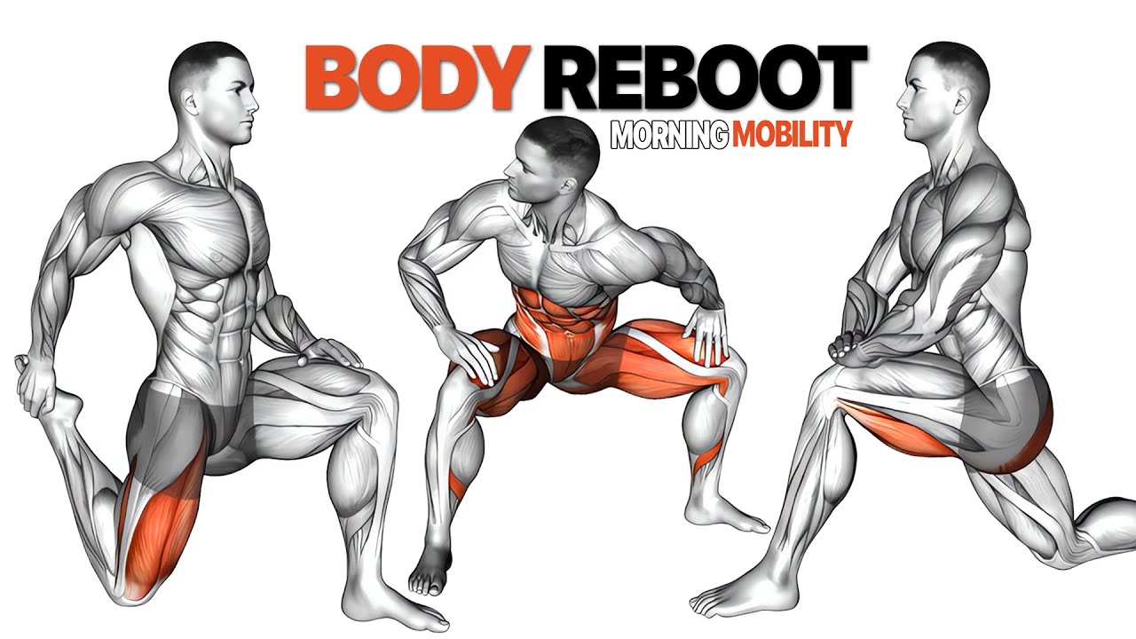 Full Body Morning Mobility Routine (Daily Stretching for Hips, Spine & Flexibility)