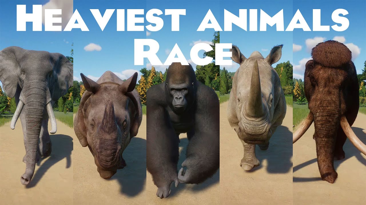 Heaviest Animals Races in Planet Zoo included Elephant, Mammoth, White Rhino, Gorilla & etc