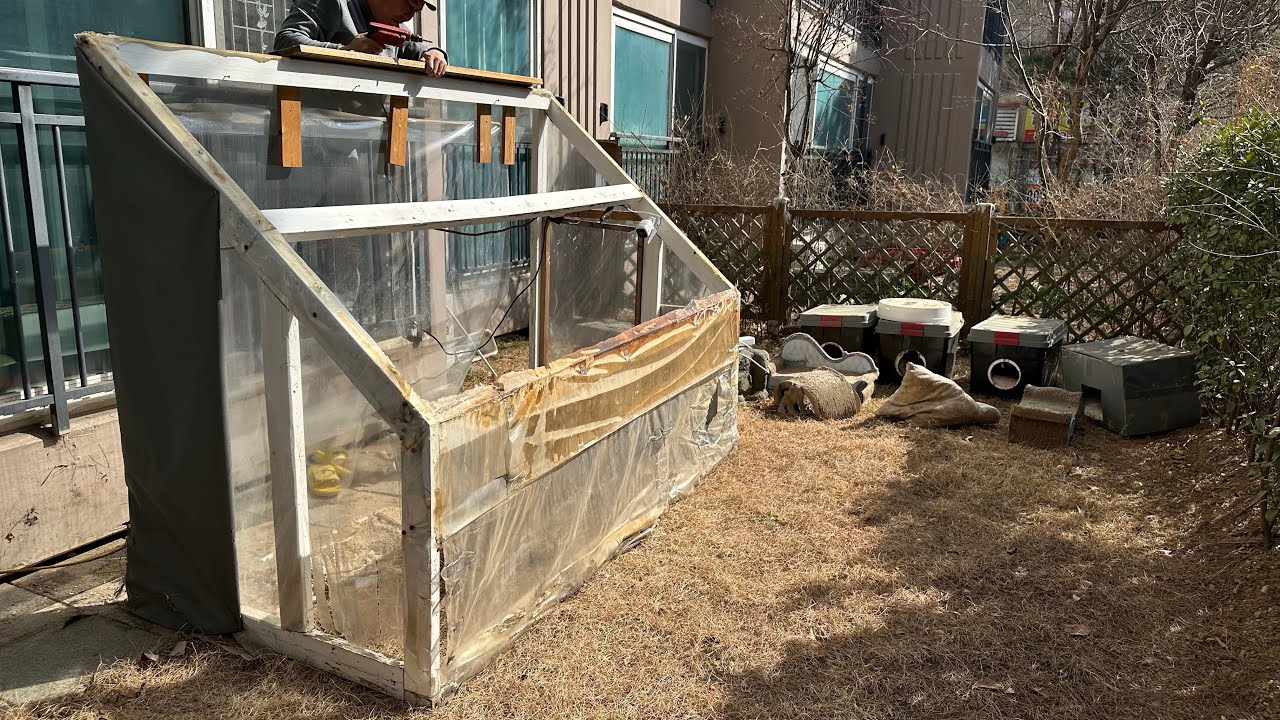 감독관이 4마리?! 남집사의 극한 길냥이 집 리모델링 🛠️