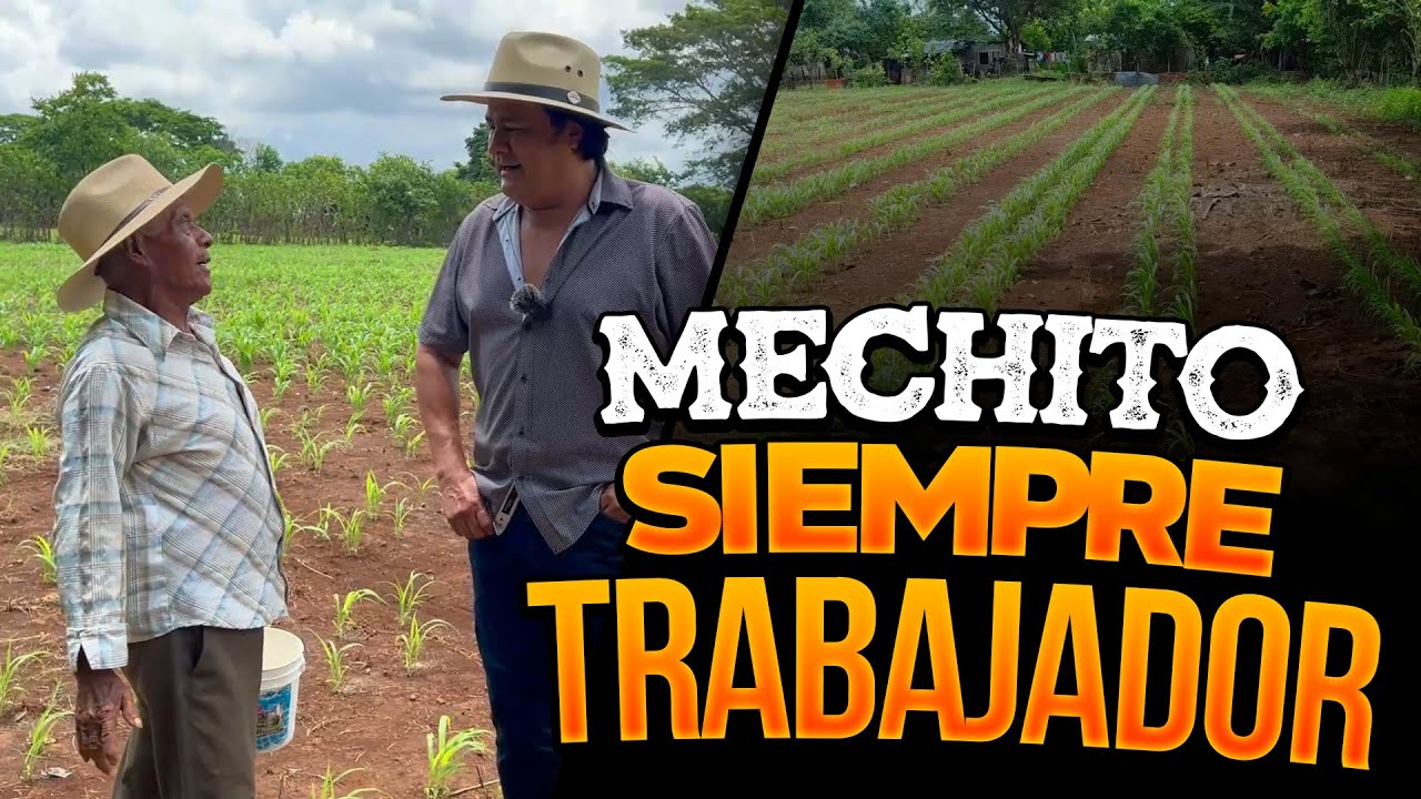 Mechito siempre trabajador 👨‍🌾