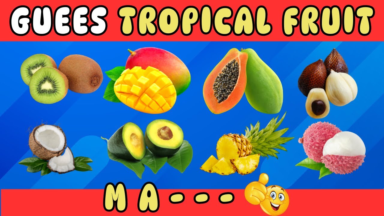Fruit Quiz: The Great Tropical Fruit Quiz Show 🌴🍍