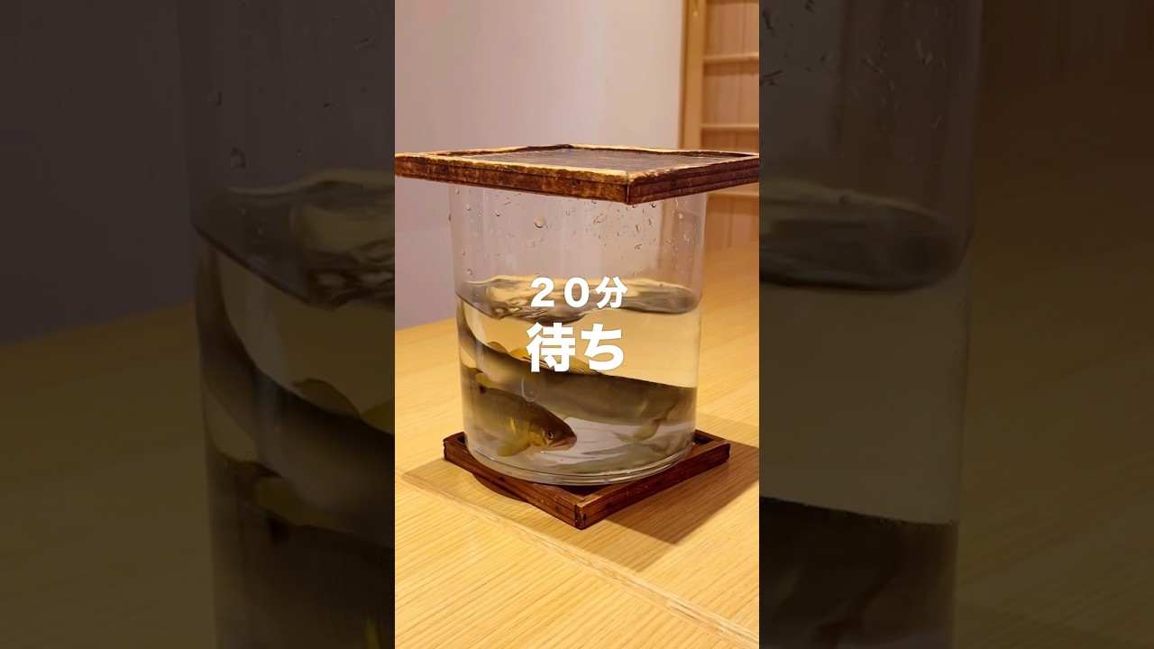 愛媛のミシュラン一つ星「道後 海舟」を正直レビュー！