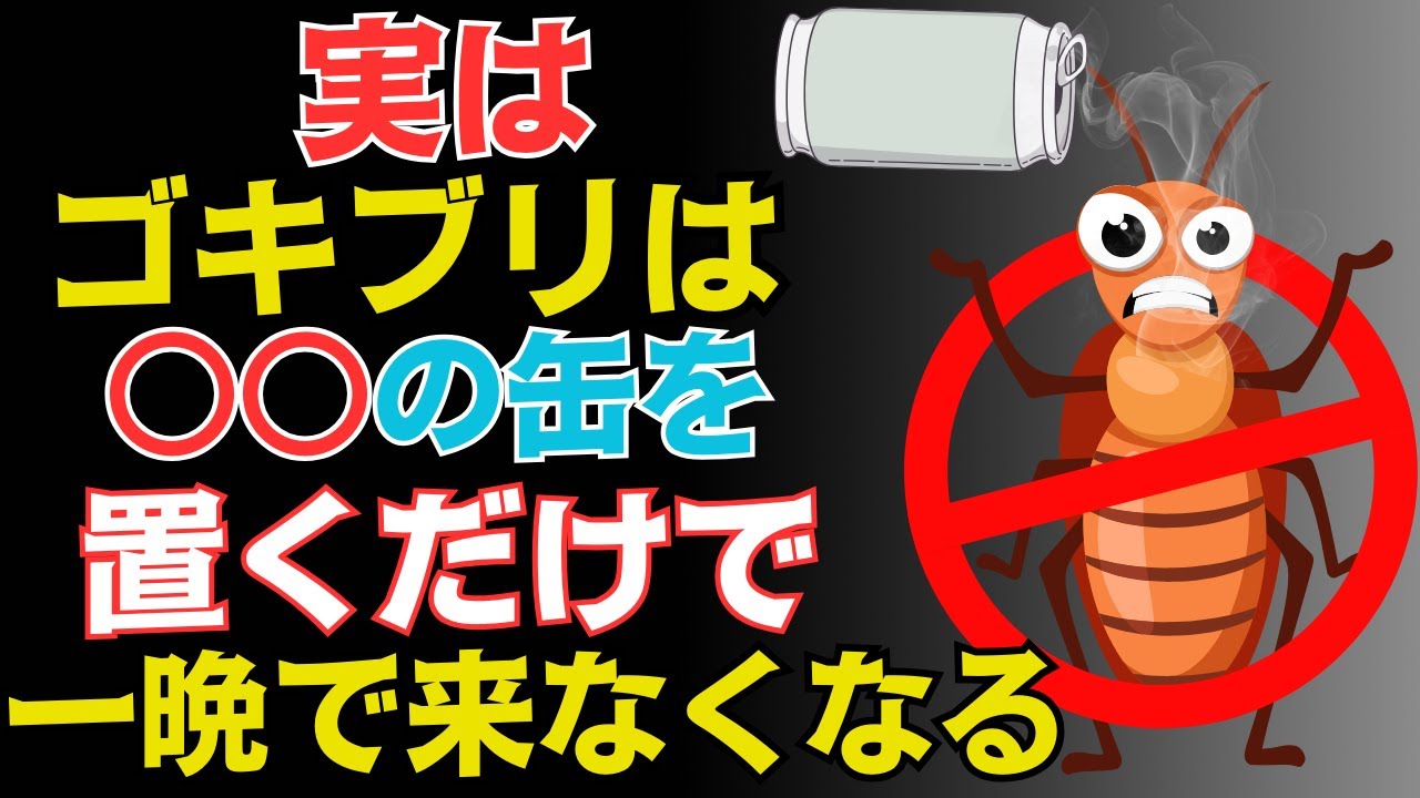 空き缶だけでゴキブリを一晩で寄せつけない秘訣。殺虫剤なしでも安心！たった100円！