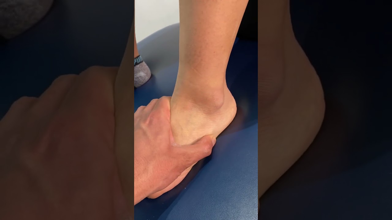 Palpation of the ankle and foot