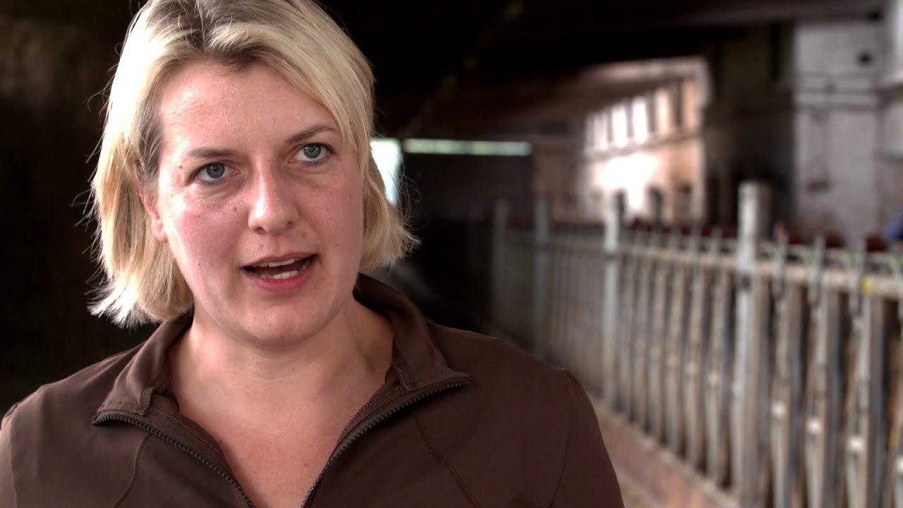 Schulungen zum sicheren Umgang mit Rindern