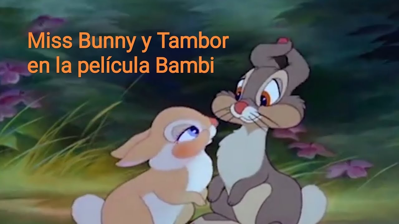Escena de amor de Miss Bunny y Tambor en la película n° 5 de Disney 