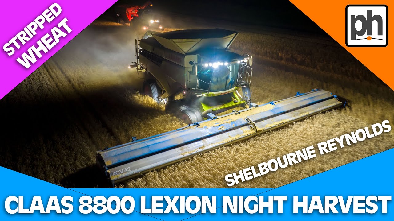 CLAAS 8800 Nightime Wheat Harvest with Shelbourne Reynolds Stripper Header #harvest2022
