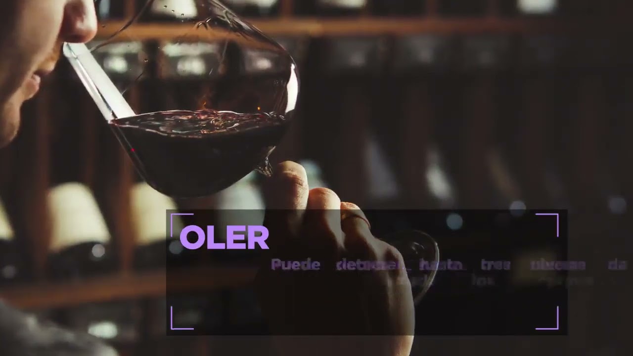 Cata de vinos y maridaje