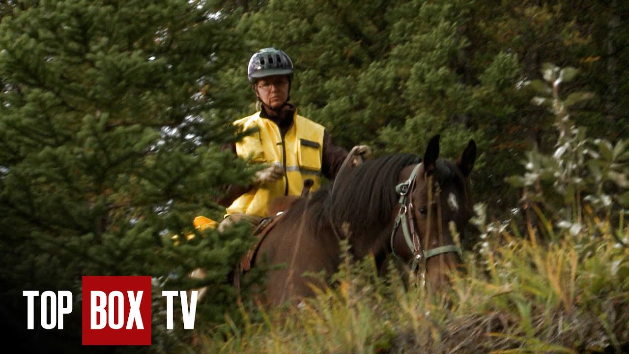 Missing Big Foot Enthusiast - Callout Search and Rescue - Sasquatches and Horses