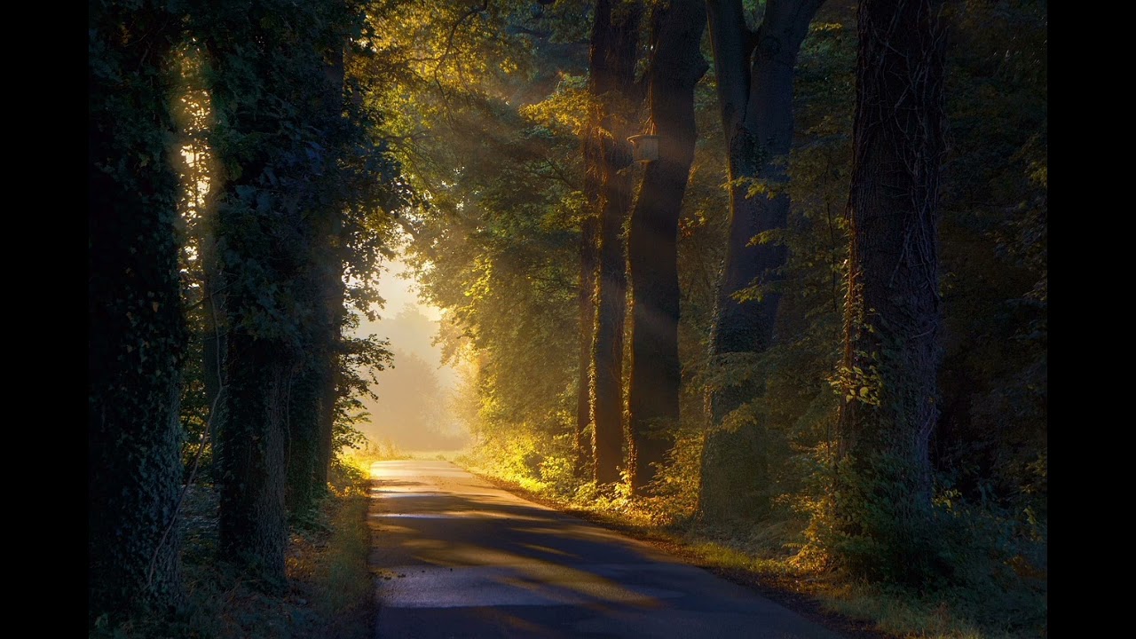 Sergio Fed - Тихий свет