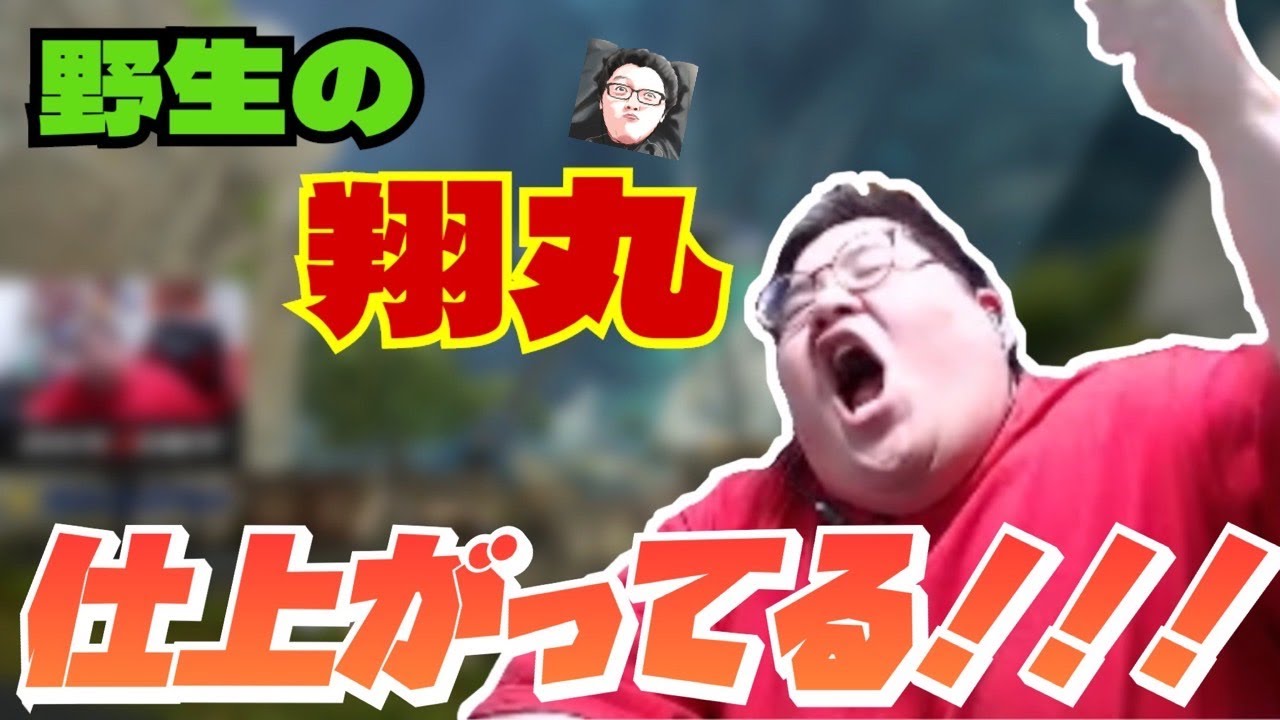 野生の翔丸に出会った話 (2022/01/08)