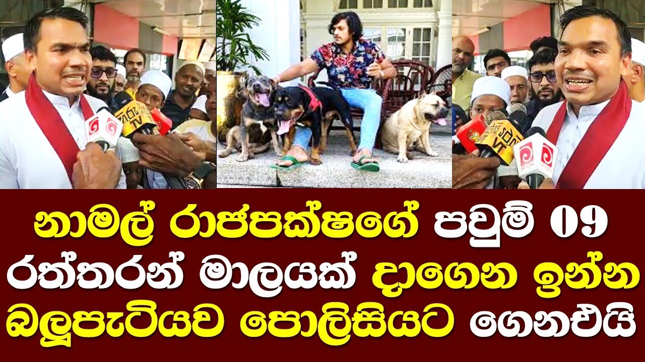 නාමල් රජපක්ෂගේ පවුම් 09 රත්රන් මාලයක් දාගෙන ඉන්න බලුපැටියව පොලිසියට ගෙනාපු හැටි හෙලිකරයි. Namal Talk