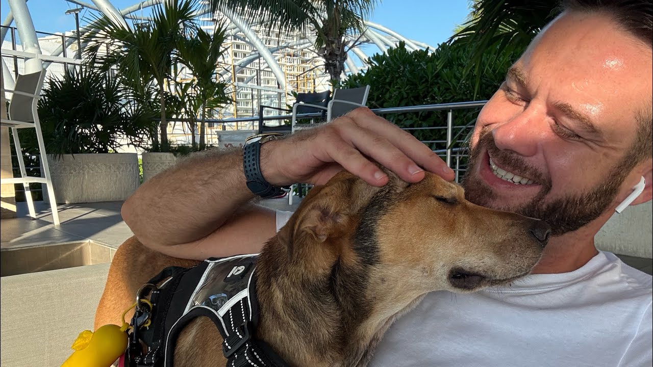 ¿Conoces la historia de Paquito🐶🏃🏻‍♀️🇨🇦? 
