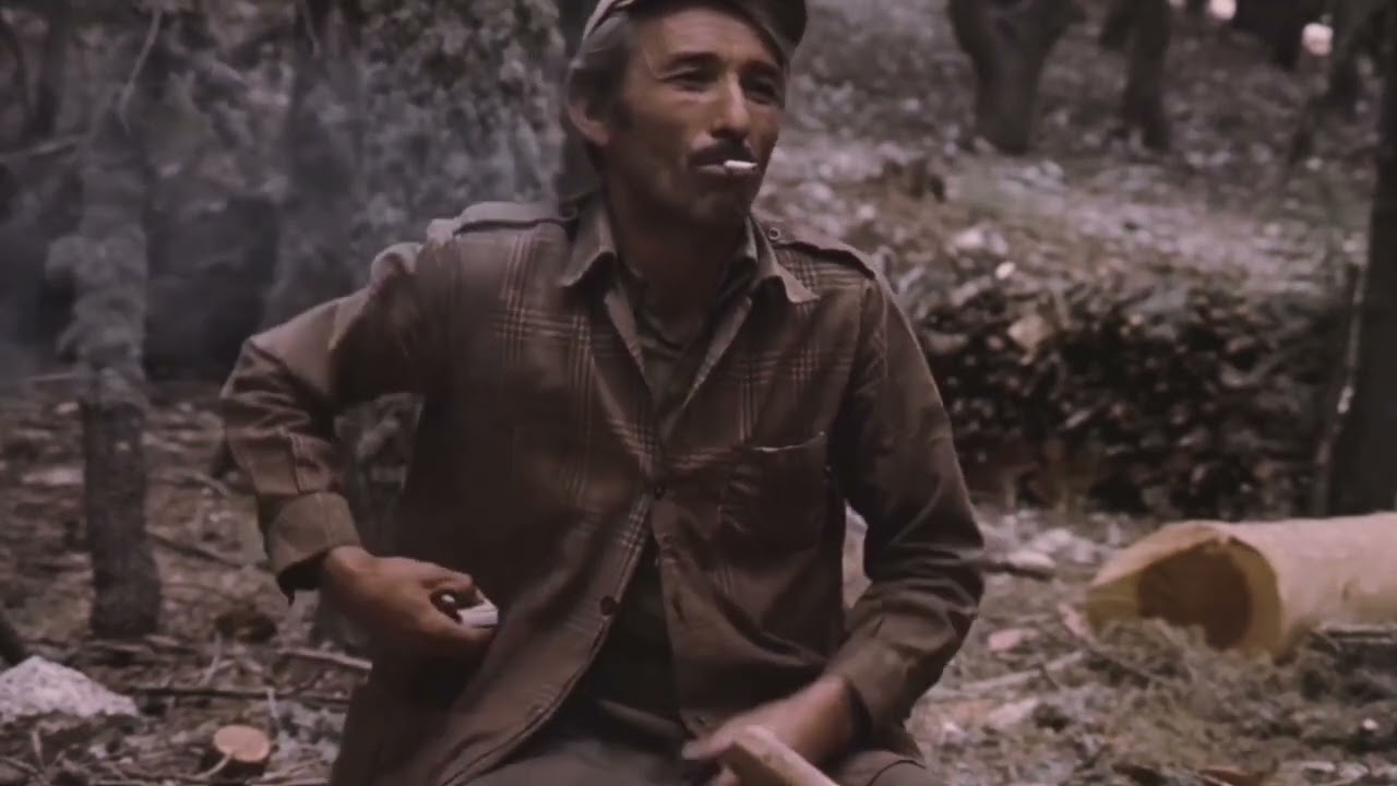Turgut Uyar, Bir doyurgan yalnızlık geliyor aklıma yerimde duramıyorum (Eser Gökay'ın Sesinden)