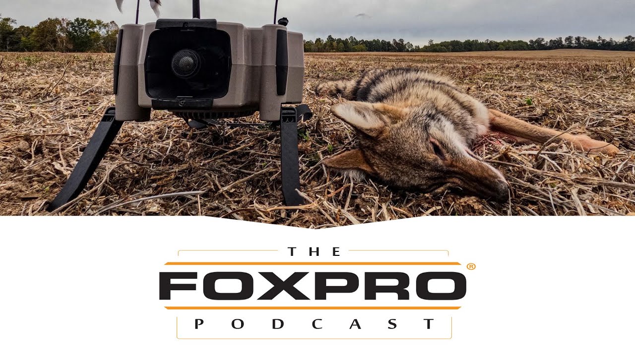 X360 And Fox Features - The FOXPRO Podcast