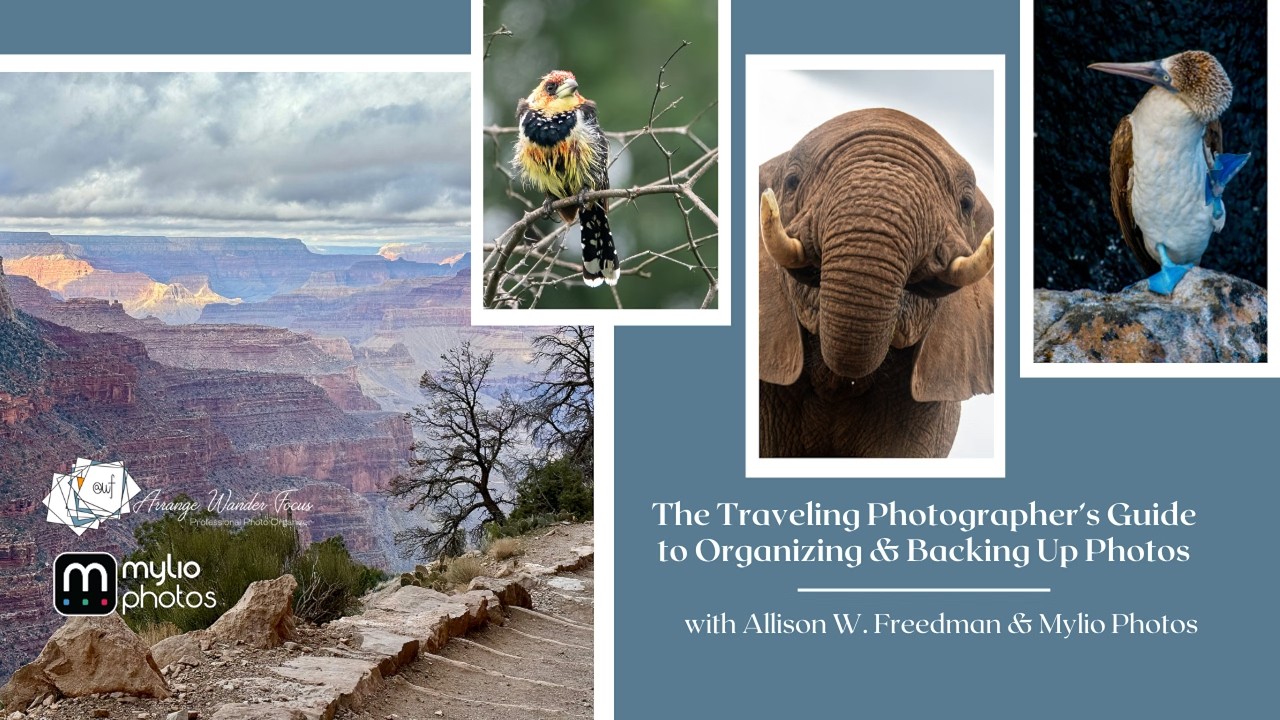 The Traveling Photographer&rsquo;s Guide to Organizing and Backing Up Photos