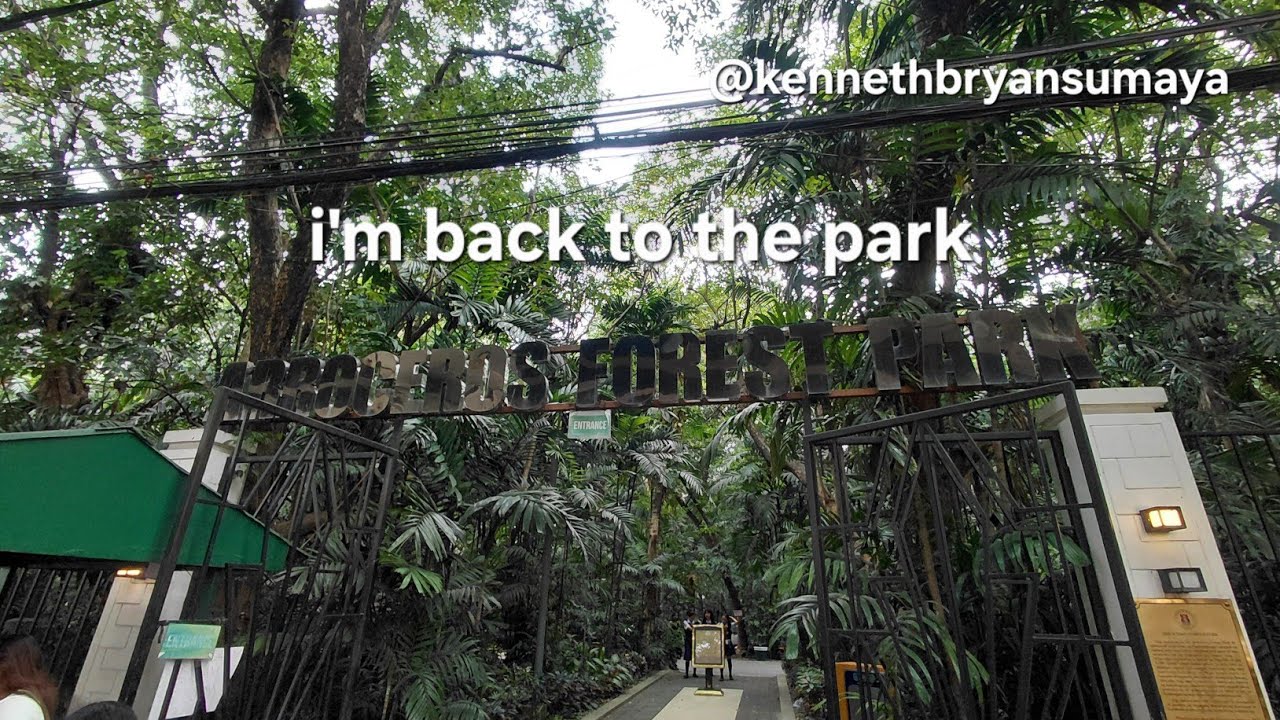 i'm back to the park