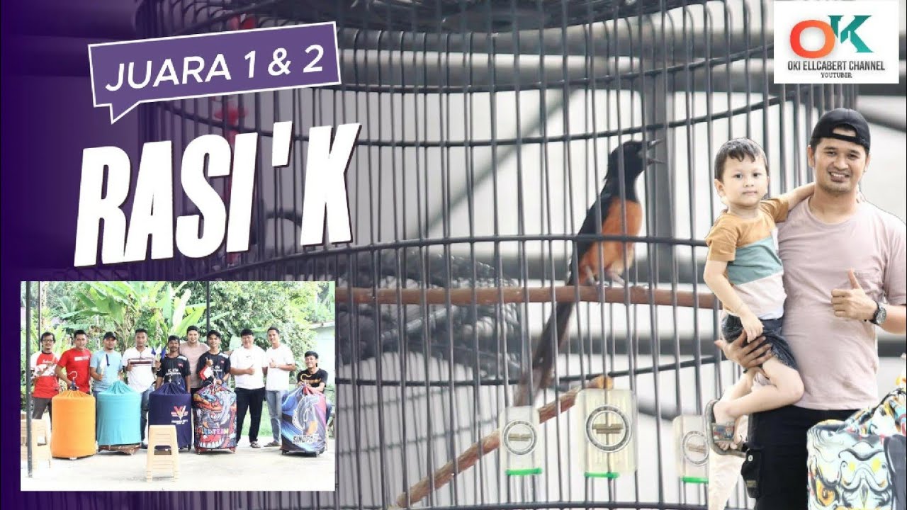 Murai Batu Ekor Hitam Rasi'k JUARA 1 & 2 di Kelas