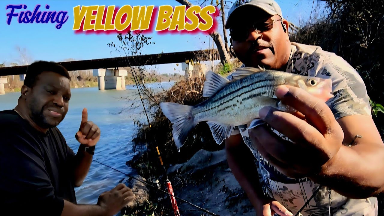 Fishing on the San Jacinto River. Two Yellow Bass saves the day 