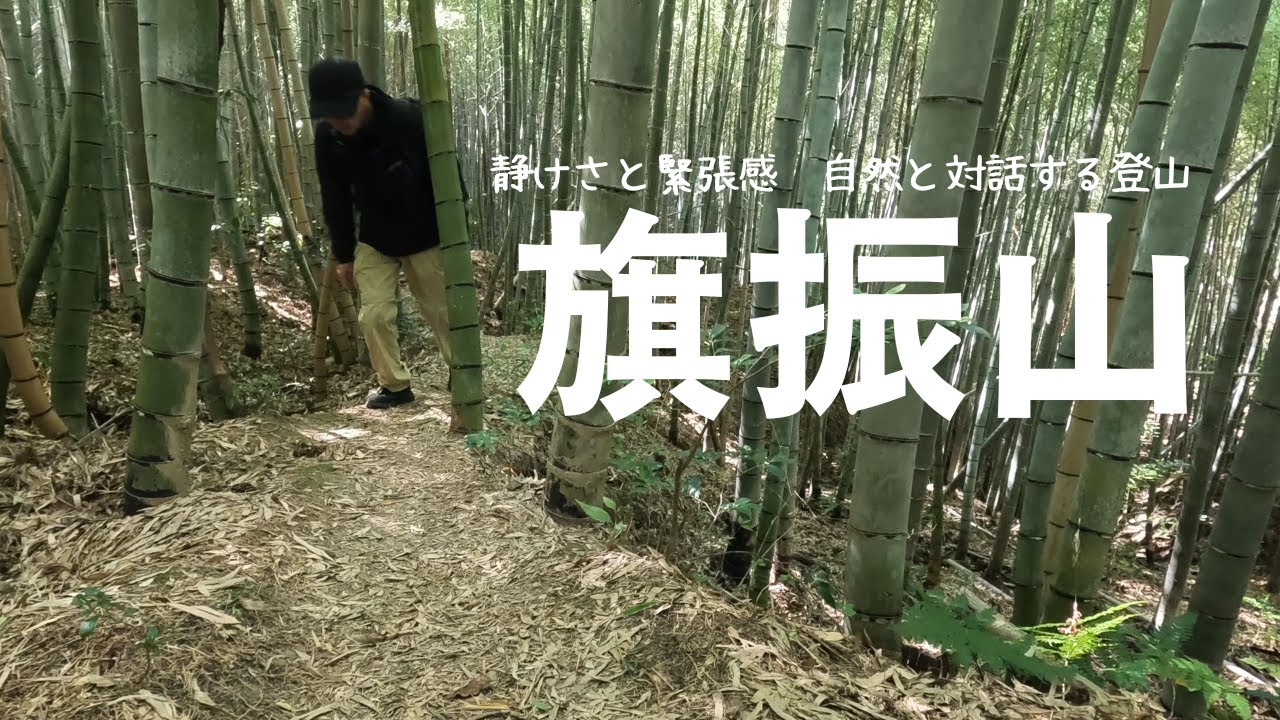 【旗振山 登山】大阪交野市｜自然と対話する登山 静けさと緊張｜かいがけ道｜竜王山｜交野３山｜交野山｜