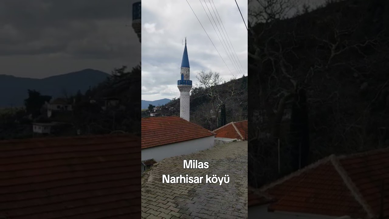 24 Şubat 2026