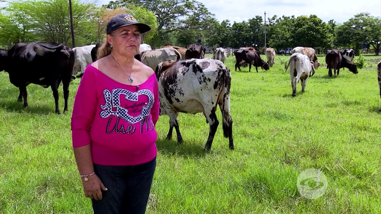 Experiencias brasileñas, replicadas en Colombia - La Finca de Hoy