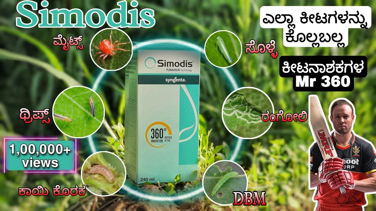 Syngenta-Simodis Insecticide | Complete information | ಹೊಸ ಕೀಟನಾಶಕ ಸಂಪೂರ್ಣ ಮಾಹಿತಿ |