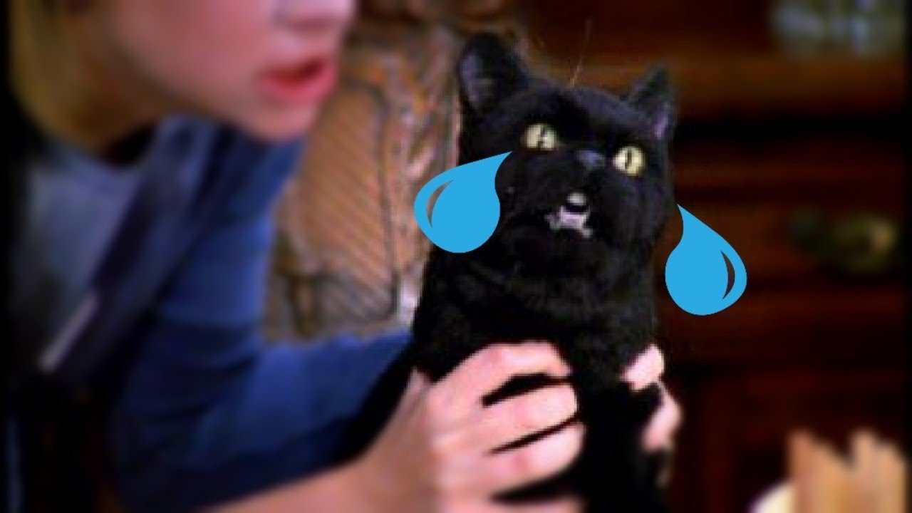 Best of Salem Sobbing