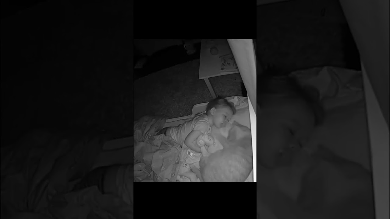 Esto Es Lo Que Pasa Cuando Un Gato Y Un Beb&eacute; Duermen Juntos