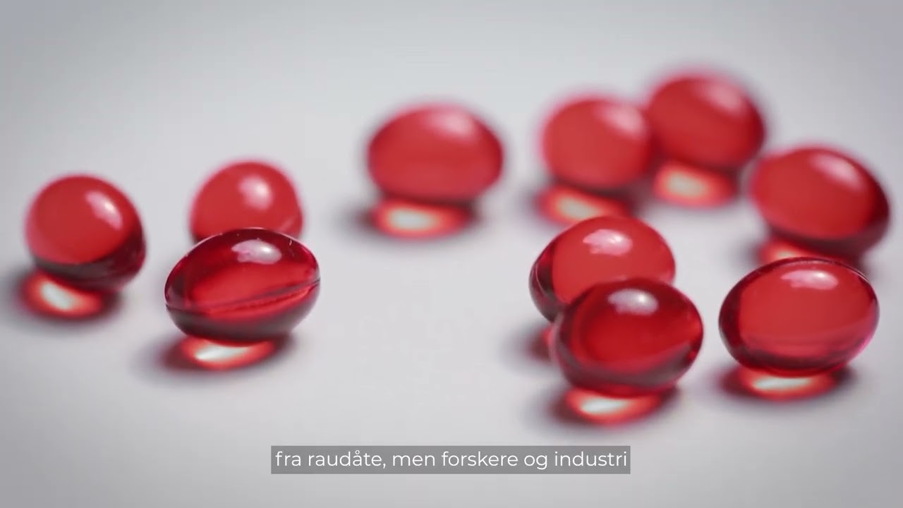 Kan raudåte brukes som laksefôr?