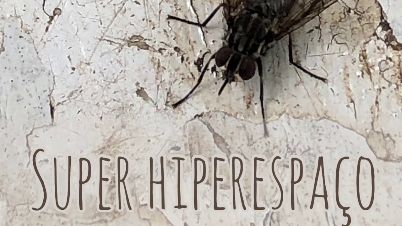 Super hiperespa&ccedil;o Mp3 - banda Preza!