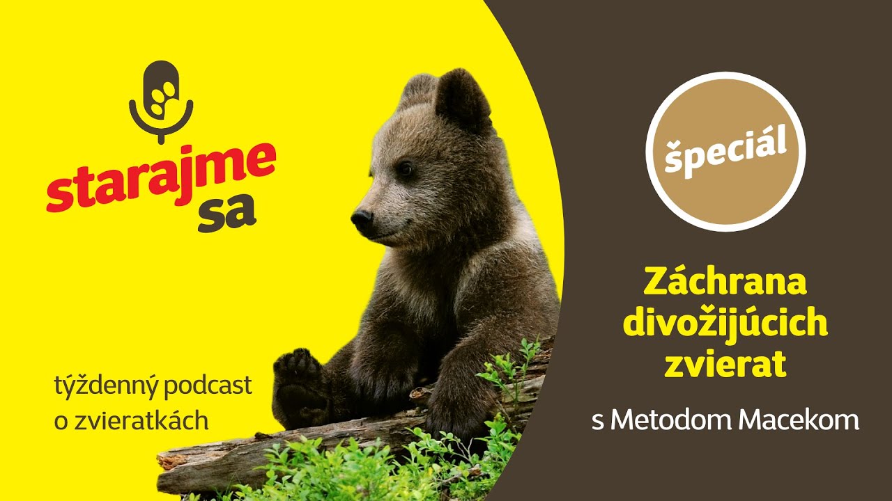 Starajme sa | Špeciál: Záchrana divožijúcich zvierat s Metodom Macekom