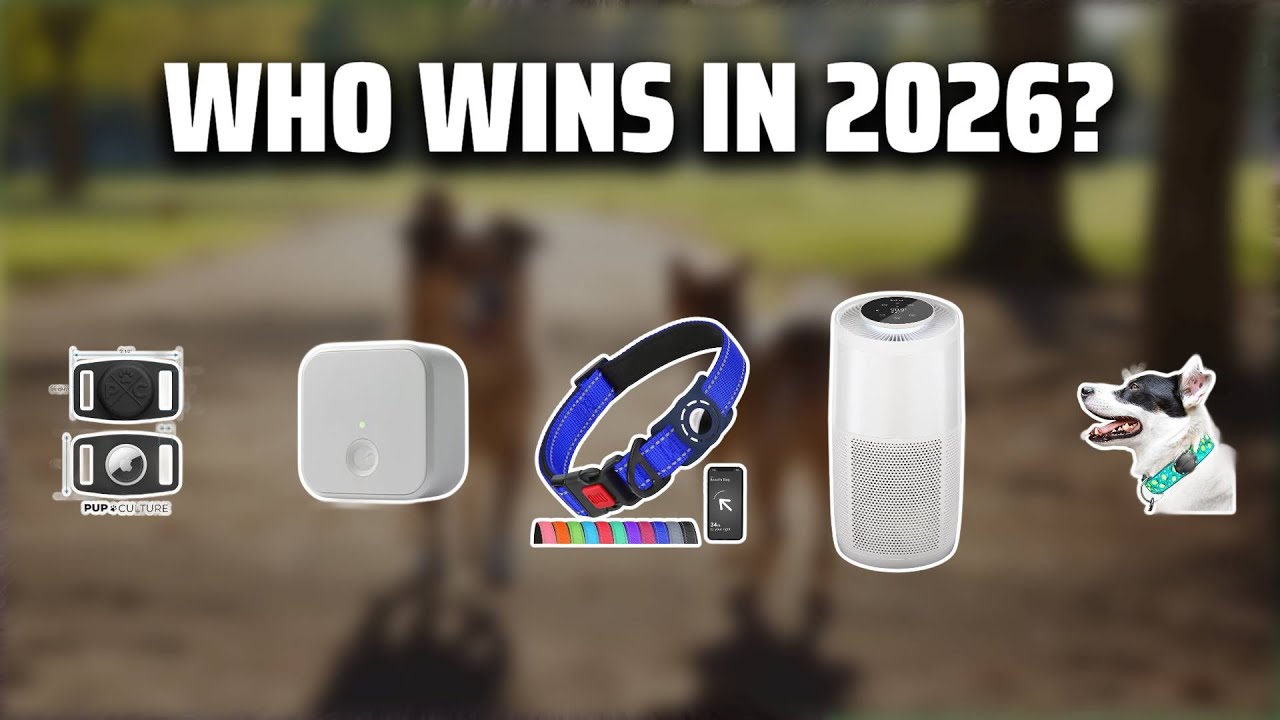 The Top 5 Best Fi Dog in 2026 - Must Watch Before Buying!