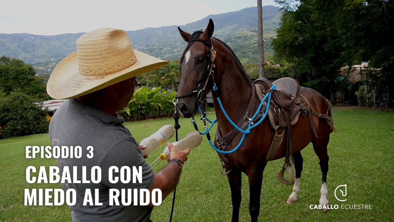 Caballo con miedo al ruido  -  trabajo en campo abierto 🐴☠️- Episodio 3