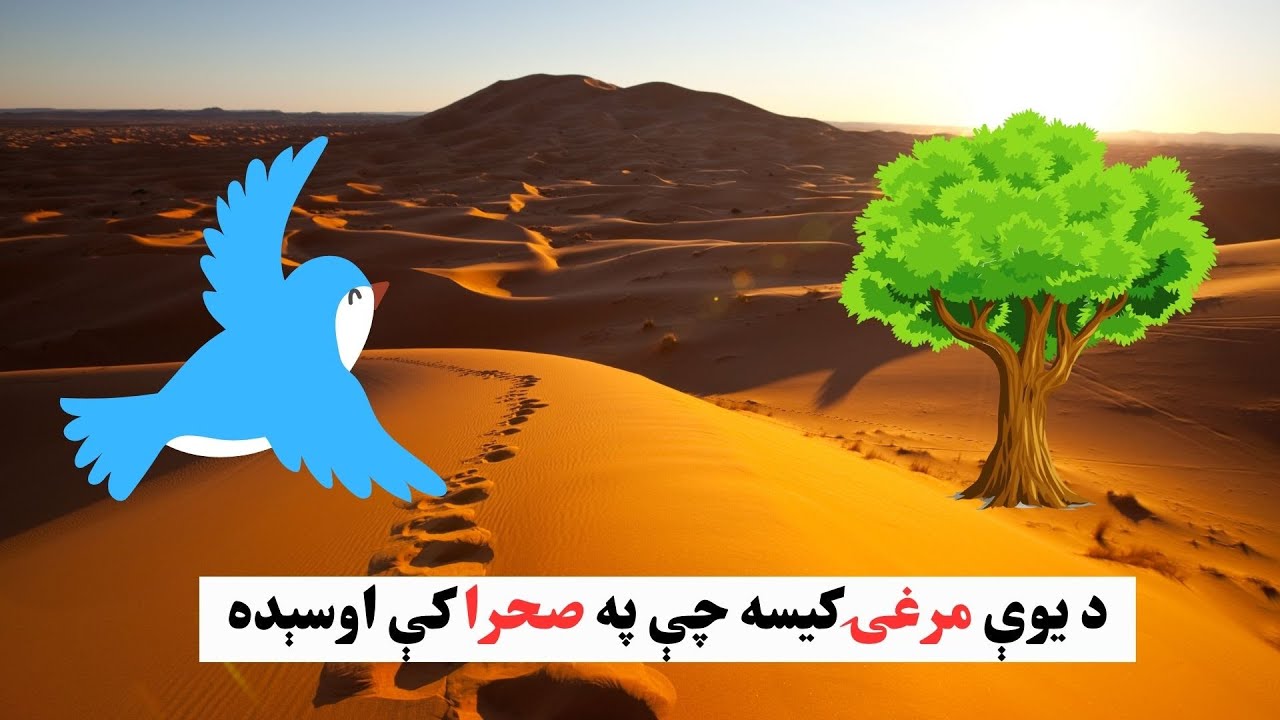 Story of A bird that lived in a desert - د یوې مرغۍ کیسه چې په صحرا کې اوسېده - Pashto Qisa