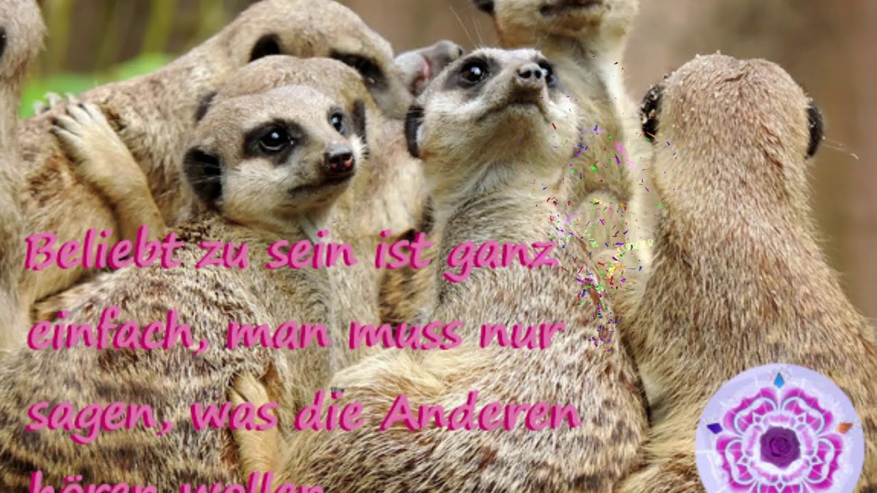 Paravital.info-Kartendeuten