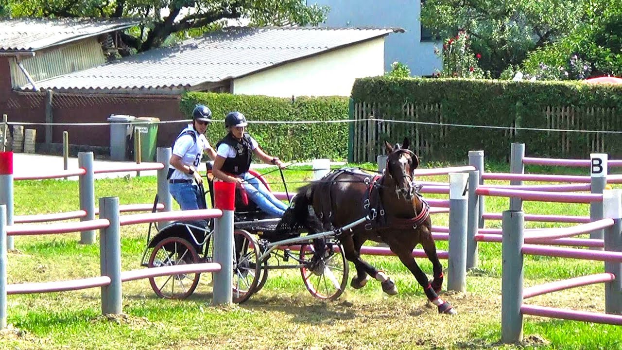 Kwiatek Weronika - Marathon - Piber-Köclach 2015