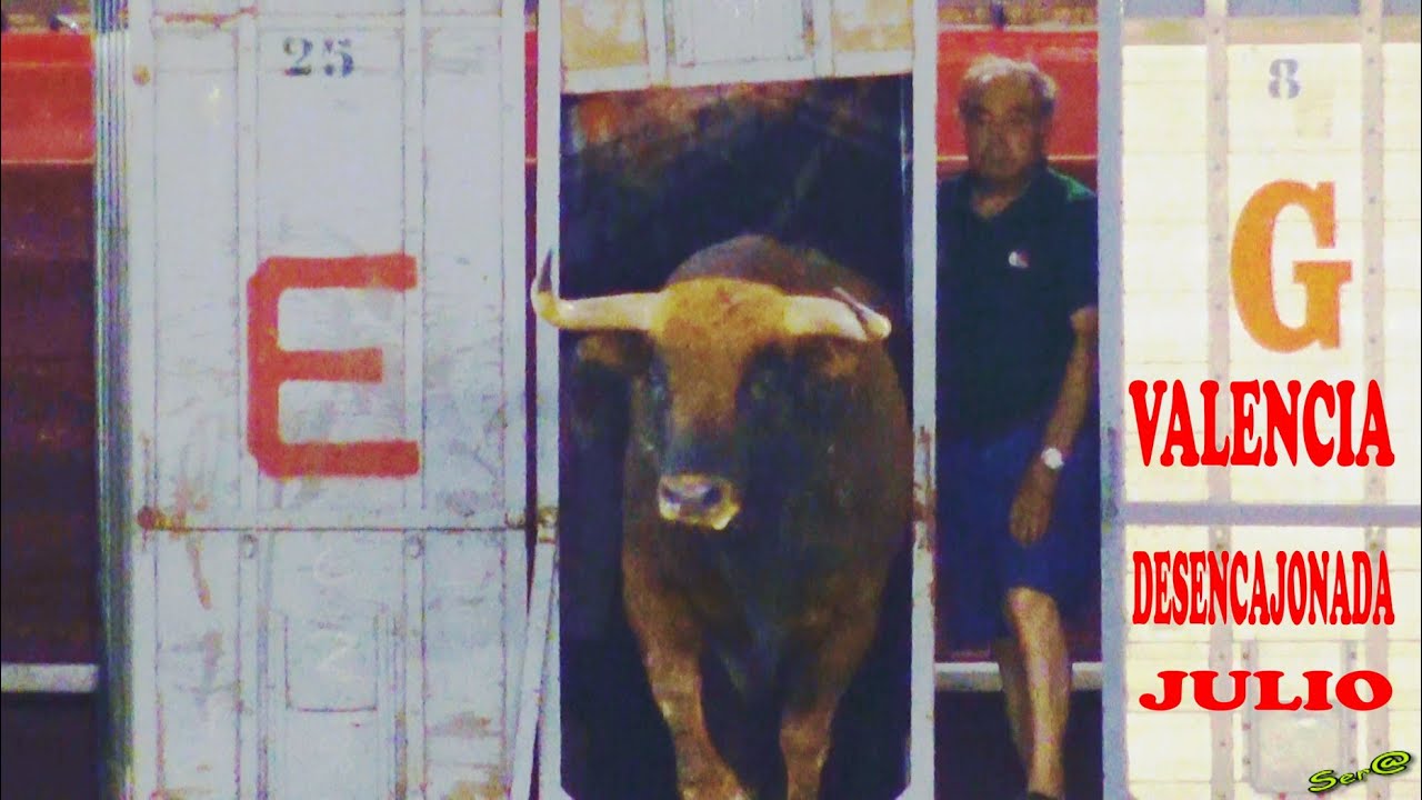 🟢2019 VALENCIA  INTEGRA Desencajonada Toros Feria de Julio
