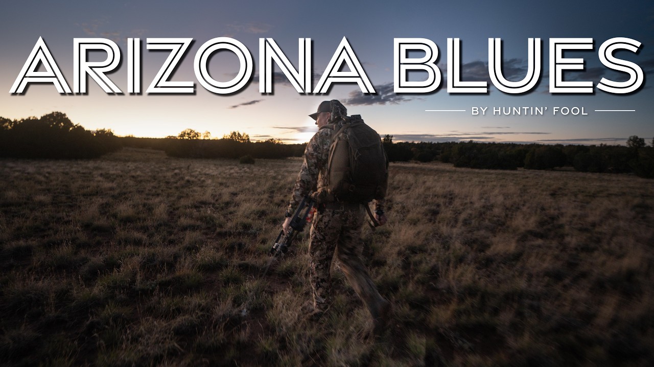 Охота на лося с луком на плато Могольон | Советники: Arizona Blues