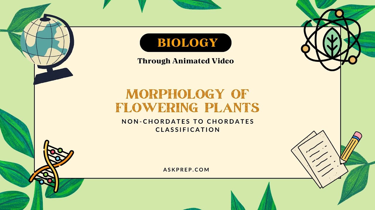 Morphology of Flowering Plants Explained | Root, Stem, Leaf, Flower, Fruit | NEET & Class 11 Biology