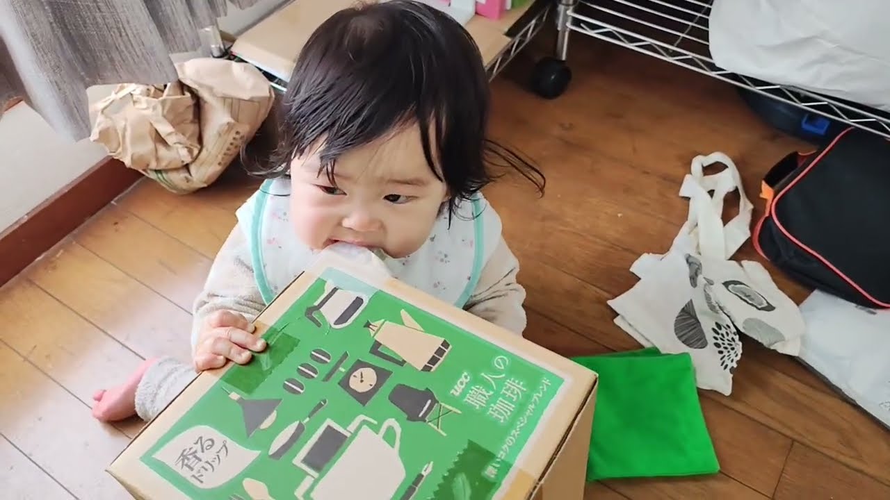 2026/02/20ハムスターのように何でもかじろうとする