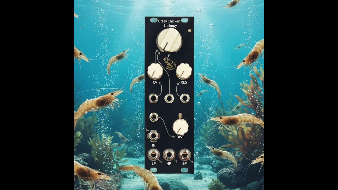 Crazy Chicken Modular SHRIMPY filter musical demonstration