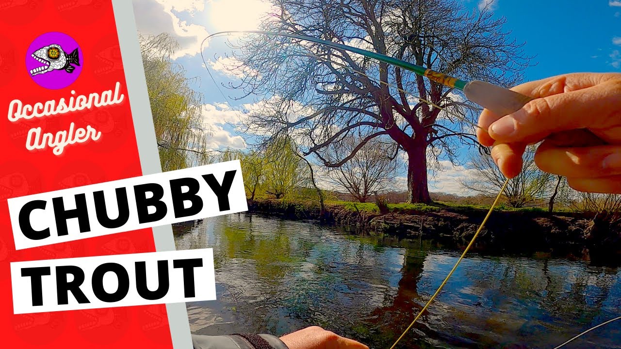 CHUBBY TROUT - FLYFISHING