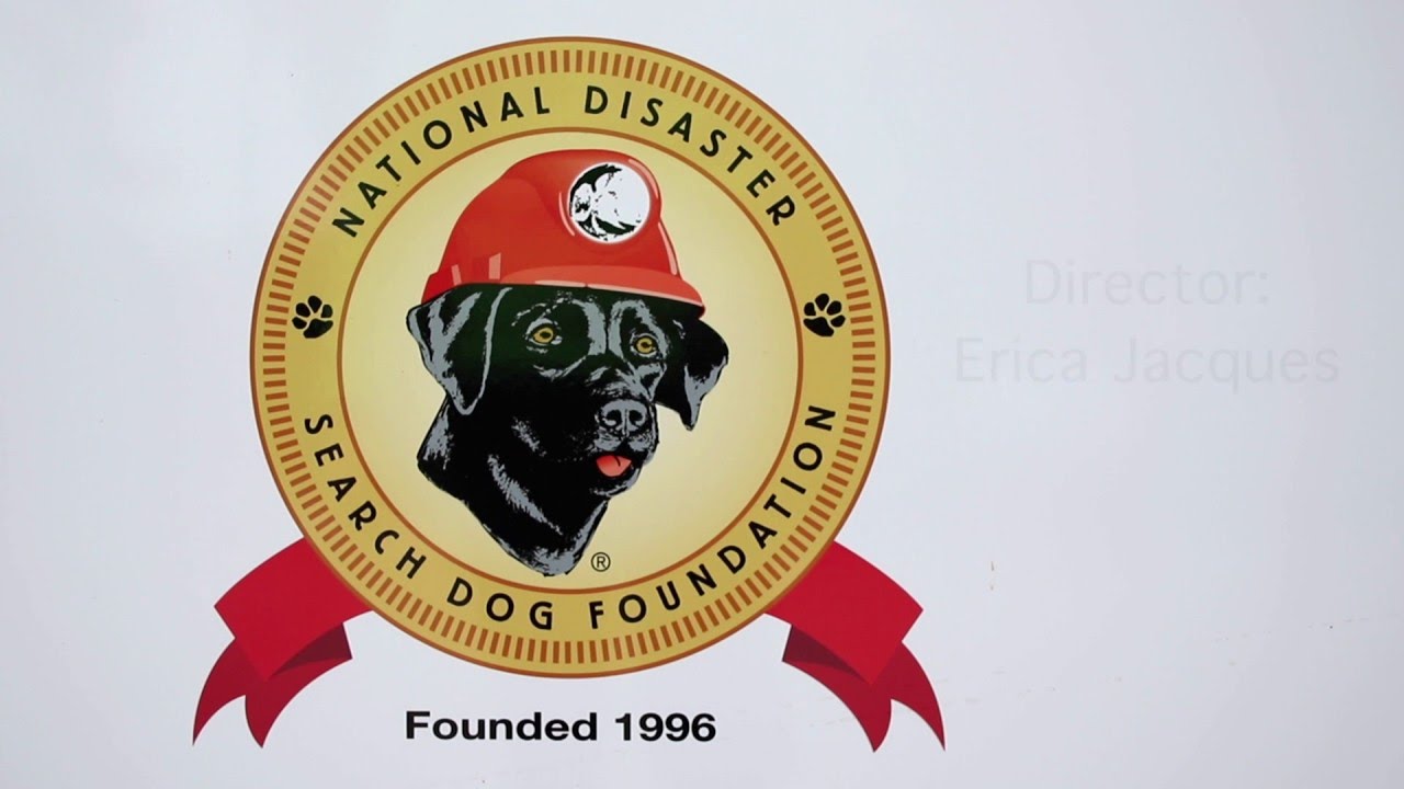 SEARCH - Search Dog Foundation Film