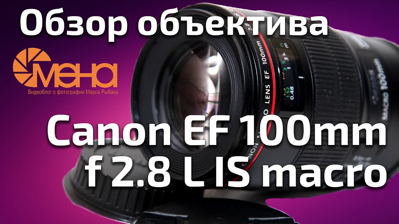 Обзор объектива Canon EF 100mm f 2.8 L IS macro