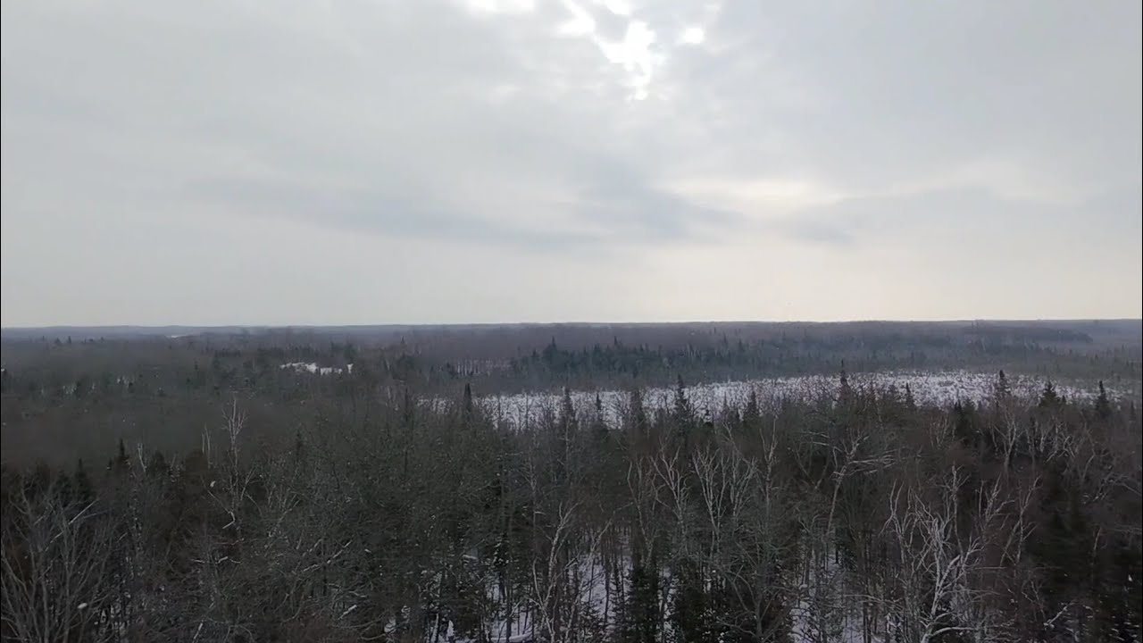 Winter walk in snowy forest|Dji neo footage of winter wonderland❄️🌲