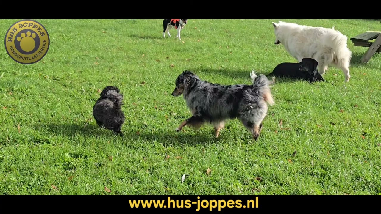 www.hus-joppes.nl