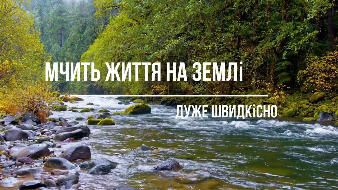 Мчить життя на Землі дуже швидкісно (Хвали, о душе моя, Господа) Слова